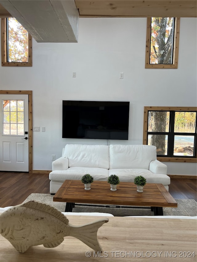 living area featuring a high ceiling, wood finished floors, and baseboards