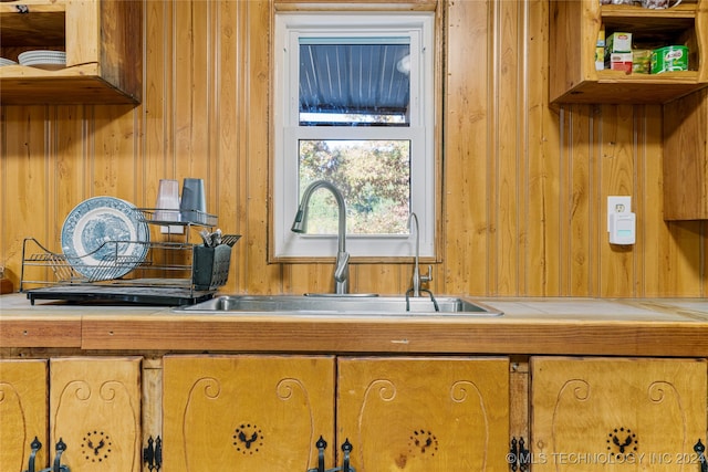 room details with wood walls and sink