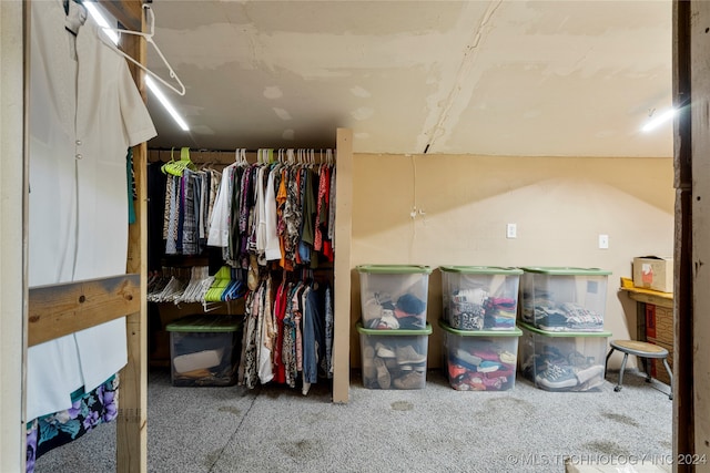 spacious closet featuring carpet flooring