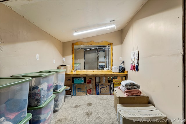 miscellaneous room with carpet floors and vaulted ceiling