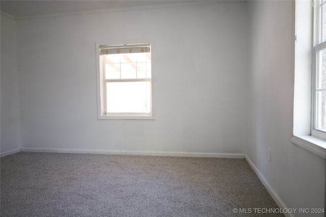 empty room with carpet floors and a healthy amount of sunlight