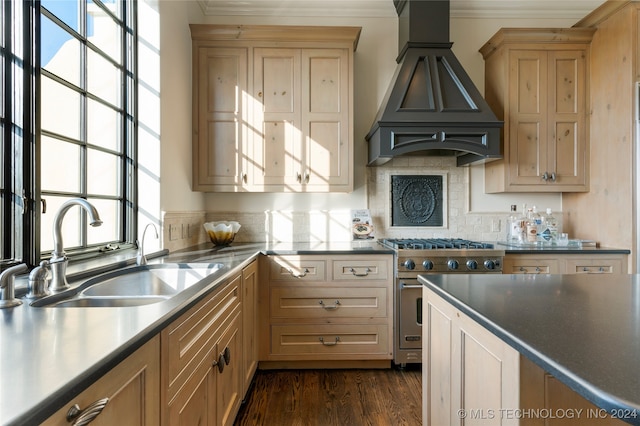 kitchen with sink, luxury stove, custom range hood, crown molding, and dark wood-type flooring