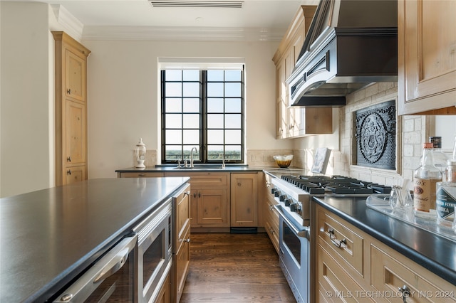 kitchen with crown molding, sink, stainless steel appliances, dark wood-type flooring, and wine cooler