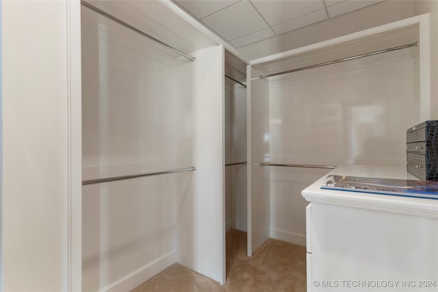 walk in closet featuring a drop ceiling and light colored carpet