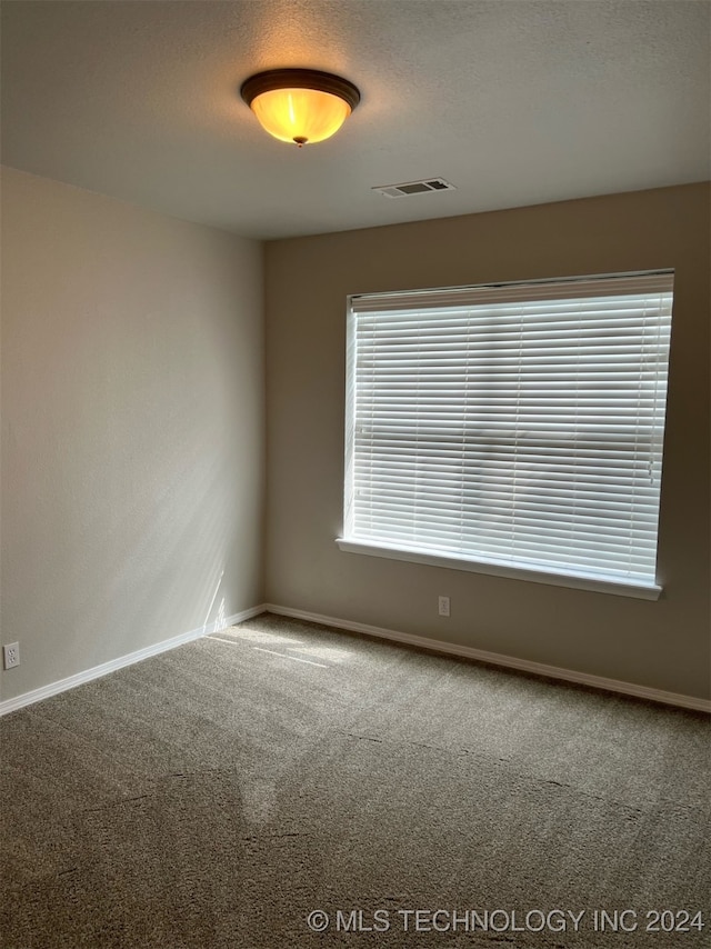 spare room featuring carpet, a textured ceiling, and plenty of natural light