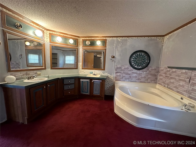 bathroom with a bathtub, a textured ceiling, and vanity