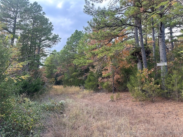 view of landscape