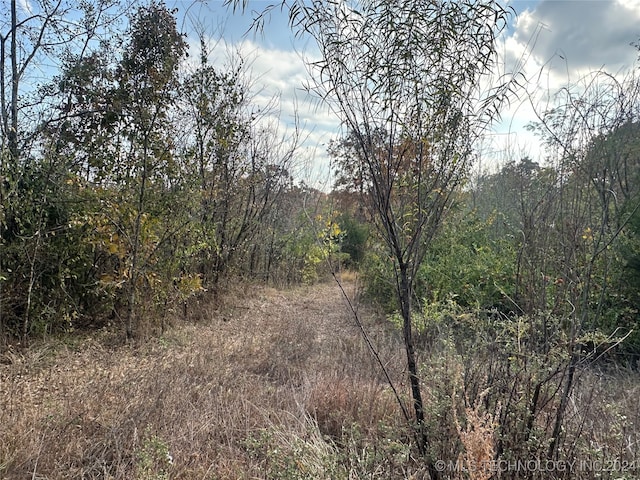 view of local wilderness