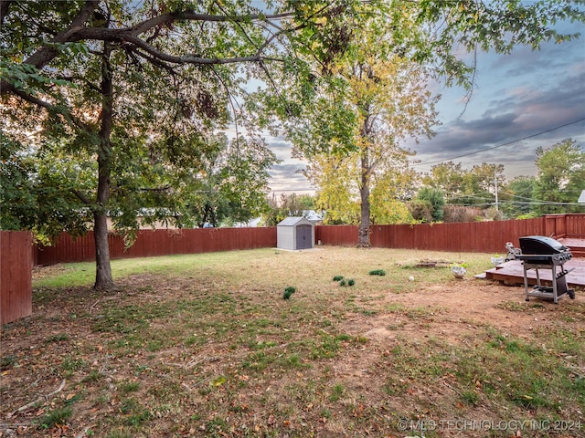 view of yard with a shed