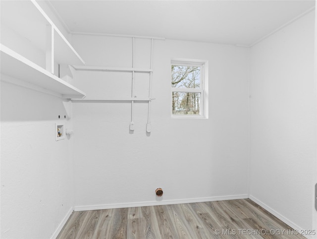 laundry area with washer hookup and light wood-type flooring