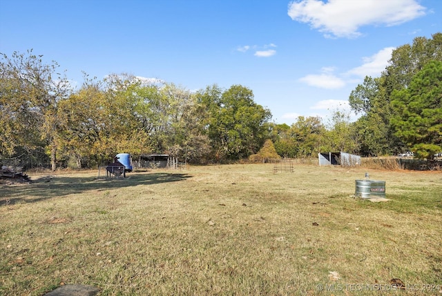 view of yard with an outdoor structure