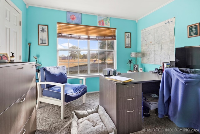 office with ornamental molding and dark colored carpet