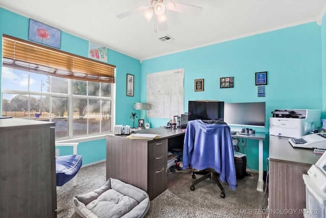 carpeted office with ceiling fan and ornamental molding