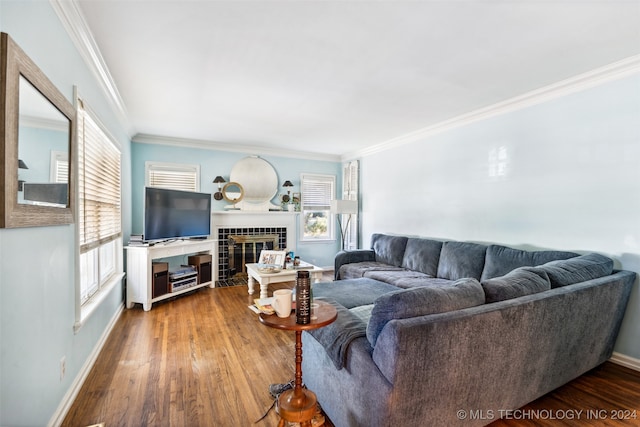 living room with ornamental molding, wood-type flooring, and a fireplace