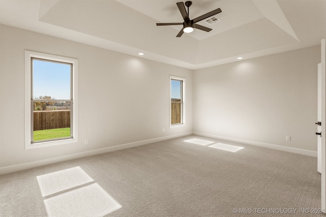 empty room with carpet flooring, a tray ceiling, and plenty of natural light