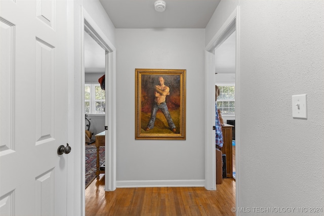 hall with a healthy amount of sunlight and light wood-type flooring