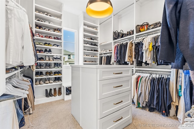 spacious closet featuring light carpet