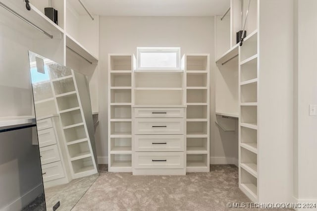 spacious closet with light carpet