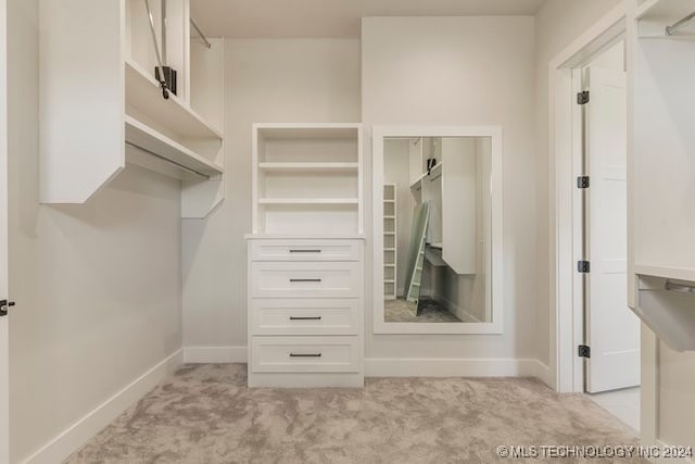 spacious closet with light carpet