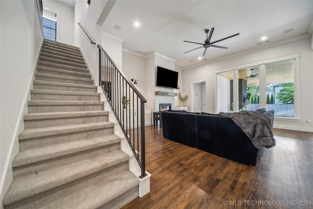 living room featuring crown molding, dark wood-type flooring, and ceiling fan