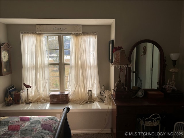 bedroom with multiple windows