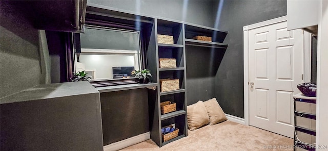 mudroom with light carpet