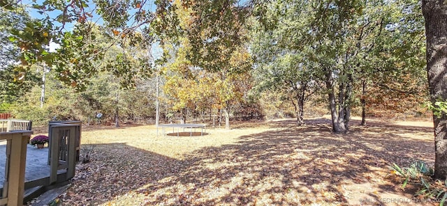 view of yard featuring a trampoline