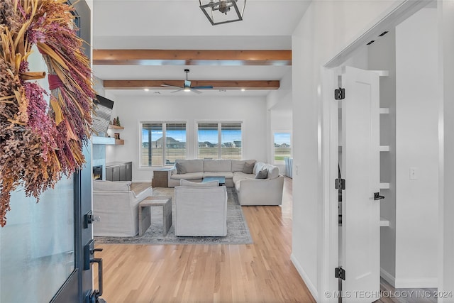 living room with beamed ceiling, light hardwood / wood-style floors, and ceiling fan