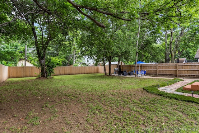 view of yard featuring a patio