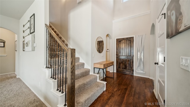 entrance foyer featuring a high ceiling and dark hardwood / wood-style floors