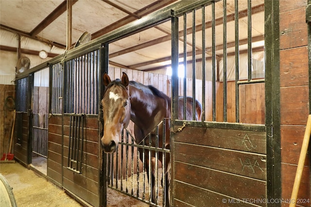 view of horse barn