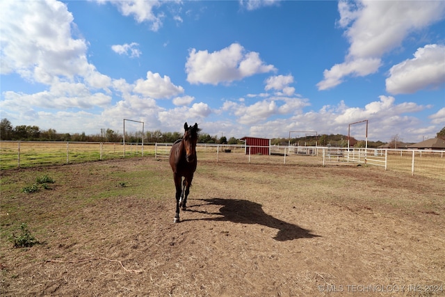 view of yard featuring a rural view