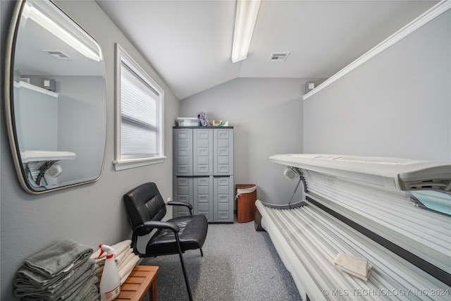 miscellaneous room featuring lofted ceiling and carpet floors