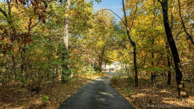 view of road