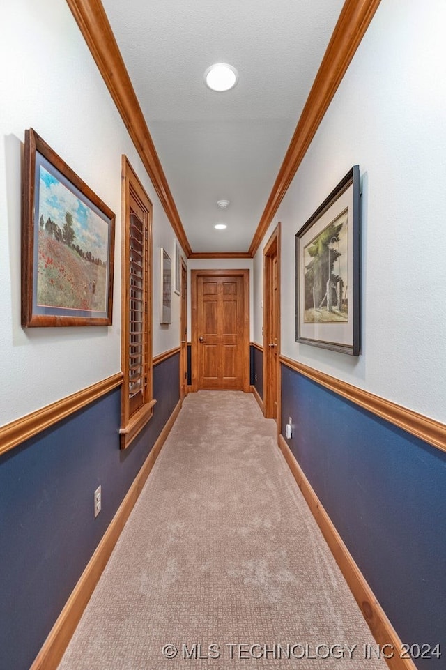 hallway featuring ornamental molding and carpet floors