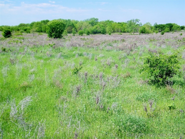 E 290 Road, Chelsea, OK 74016 - photo 15