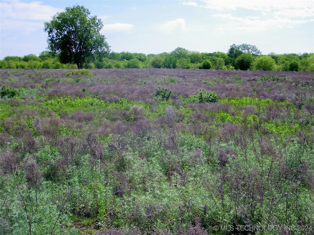 E 290 Road, Chelsea, OK 74016 - photo 22