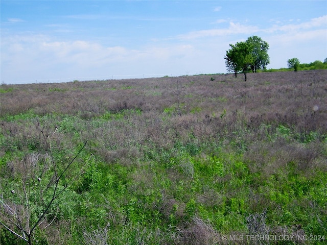E 290 Road, Chelsea, OK 74016 - photo 25