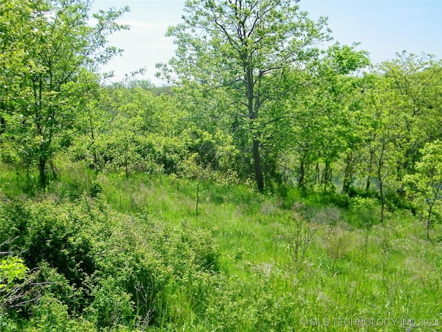 E 290 Road, Chelsea, OK 74016 - photo 34
