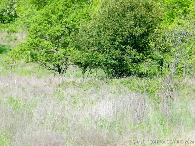 E 290 Road, Chelsea, OK 74016 - photo 39