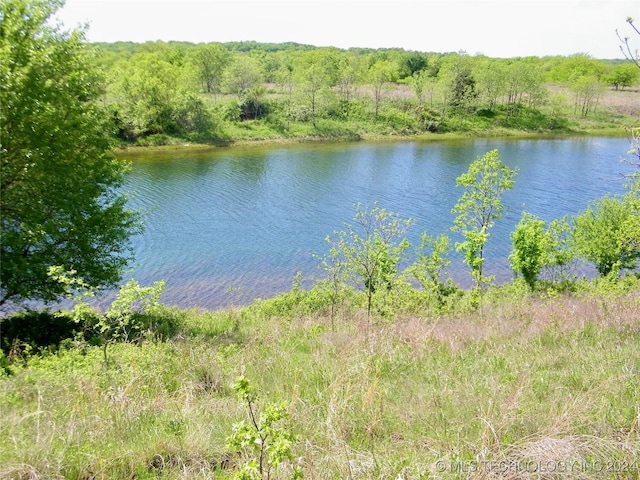 E 290 Road, Chelsea, OK 74016 - photo 40