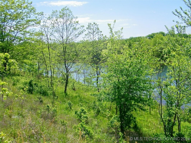 E 290 Road, Chelsea, OK 74016 - photo 41