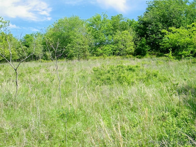 E 290 Road, Chelsea, OK 74016 - photo 42