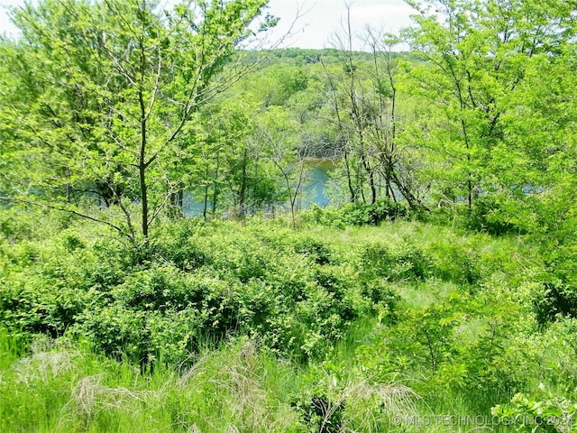 E 290 Road, Chelsea, OK 74016 - photo 43