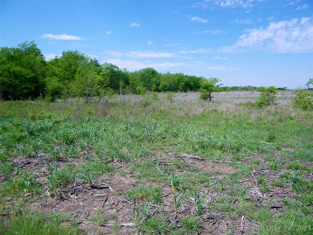 E 290 Road, Chelsea, OK 74016 - photo 45