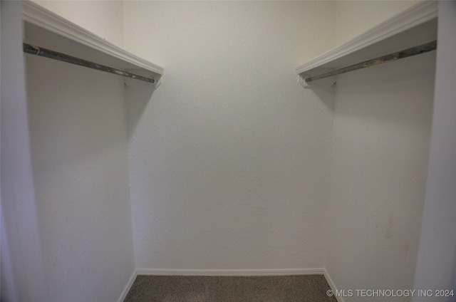 spacious closet with carpet