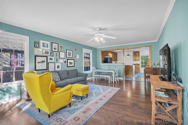 living room featuring ornamental molding, ceiling fan, and dark hardwood / wood-style flooring