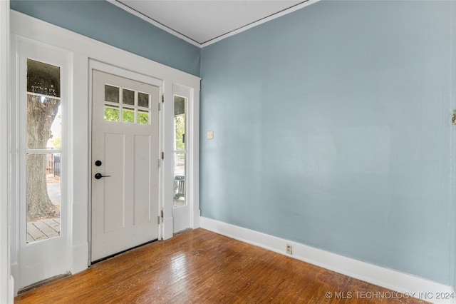 foyer featuring hardwood / wood-style floors and plenty of natural light