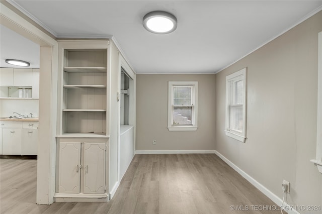 interior space featuring light hardwood / wood-style flooring, ornamental molding, and sink