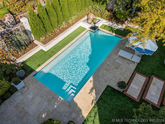 view of pool with a yard and a patio area